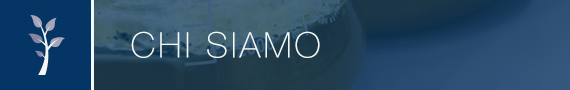 Chi siamo